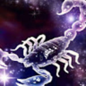 Meet your Posher, Krystal